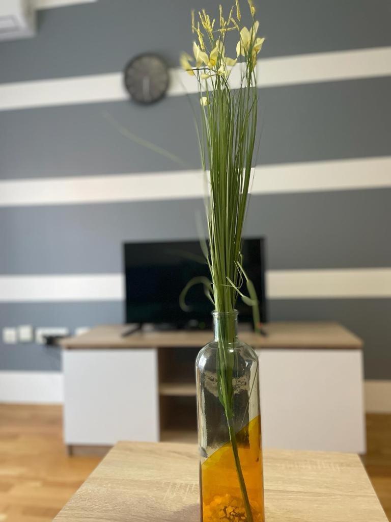 Naki Apartmani Ποντγορίτσα Δωμάτιο φωτογραφία